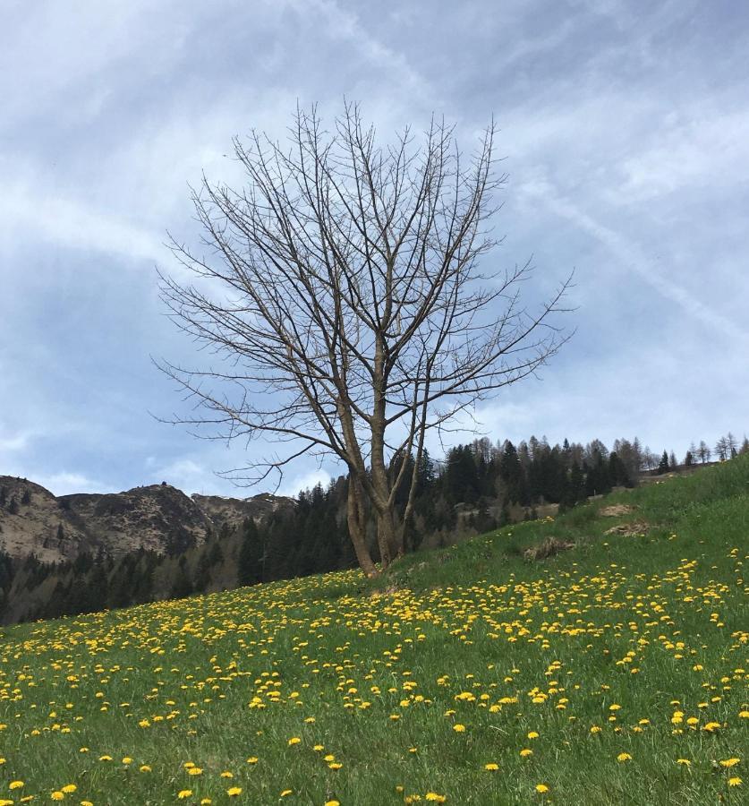B&B Gottardo Airolo Εξωτερικό φωτογραφία