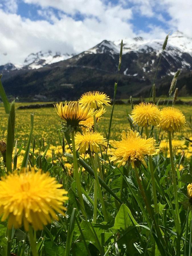 B&B Gottardo Airolo Εξωτερικό φωτογραφία
